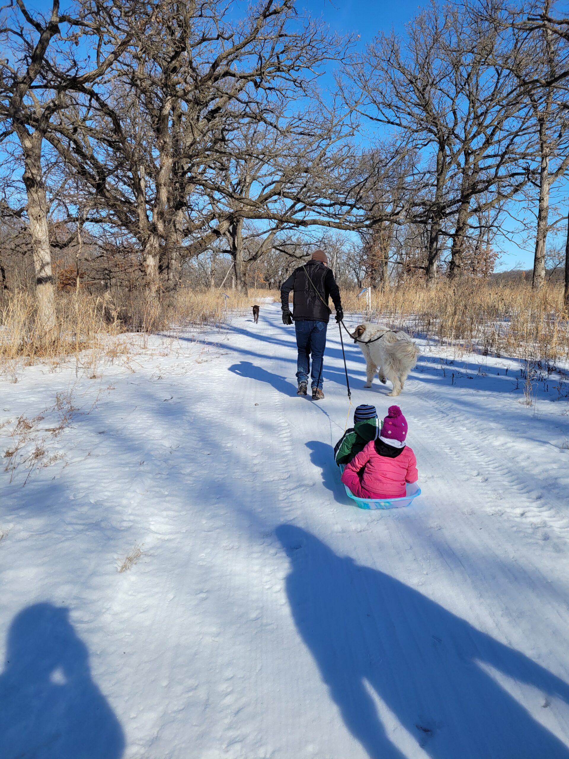 Passing on the love of Snow!